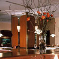Hotel in Almaty. Hotel Hyatt Regency Almaty. Hyatt Almaty