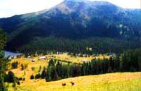 Mountain Thermal Water Resort Rakhmanovskie Kluchi. Kazakhstan recreation
