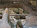 Shopan-Ata Necropolis