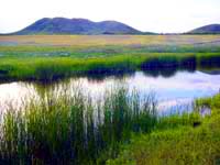 Kokshetau State National Nature Park. Pictures of Kazakhstan nature