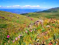 Burkhatskiy Pass. Rocky districts of Kazakhstan