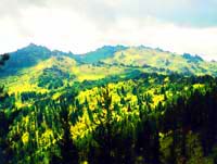 Burkhatskiy Pass. Rocky districts of Kazakhstan