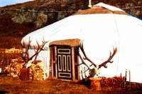 Maral Farm. Yurts