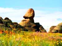 Bayan-Aul State National Park. Kazakhstan nature