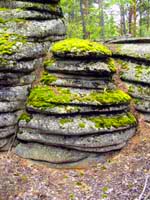 Karkaralinsky National Park. Kazakhstan nature