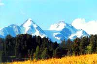 Katon-Karagay National Park. Kazakhstan nature