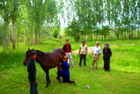 Sairam-Ugamskiy State National Park. Kazakhstan nature