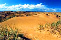 Kulujun Nature Reserve. Kazakhstan nature