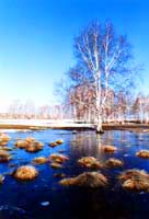 West-Altai Nature Reserve. Kazakhstan nature