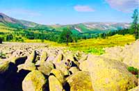 West-Altai Nature Reserve. Kazakhstan nature