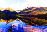 West-Altai Nature Reserve. Kazakhstan nature