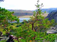 Sibinskie Lakes. Kazakhstan nature